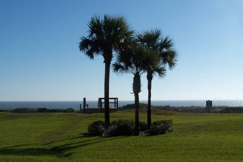 Photo of Others in Amelia City