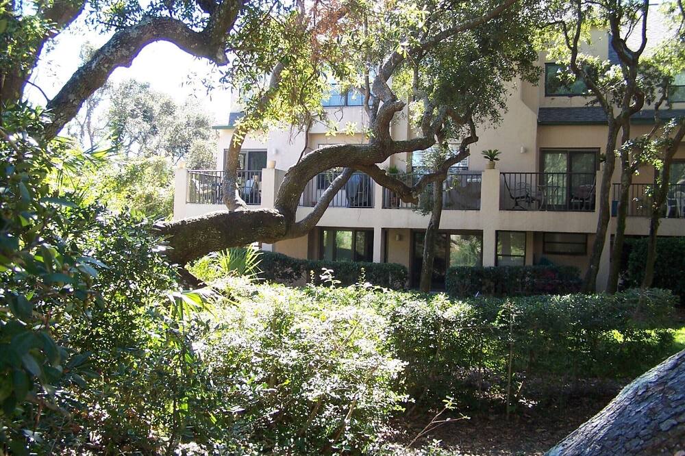 Photo of Outdoor in Amelia City
