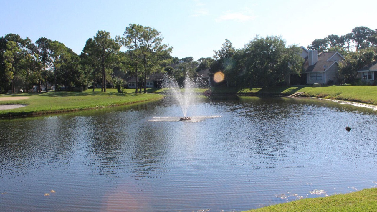 Photo of Others in Samsula-Spruce Creek