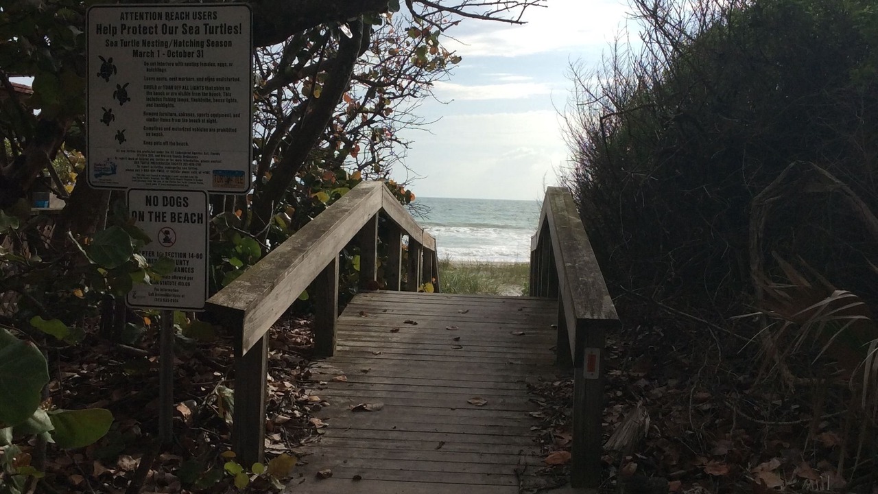 Photo of Others in Crescent Beach