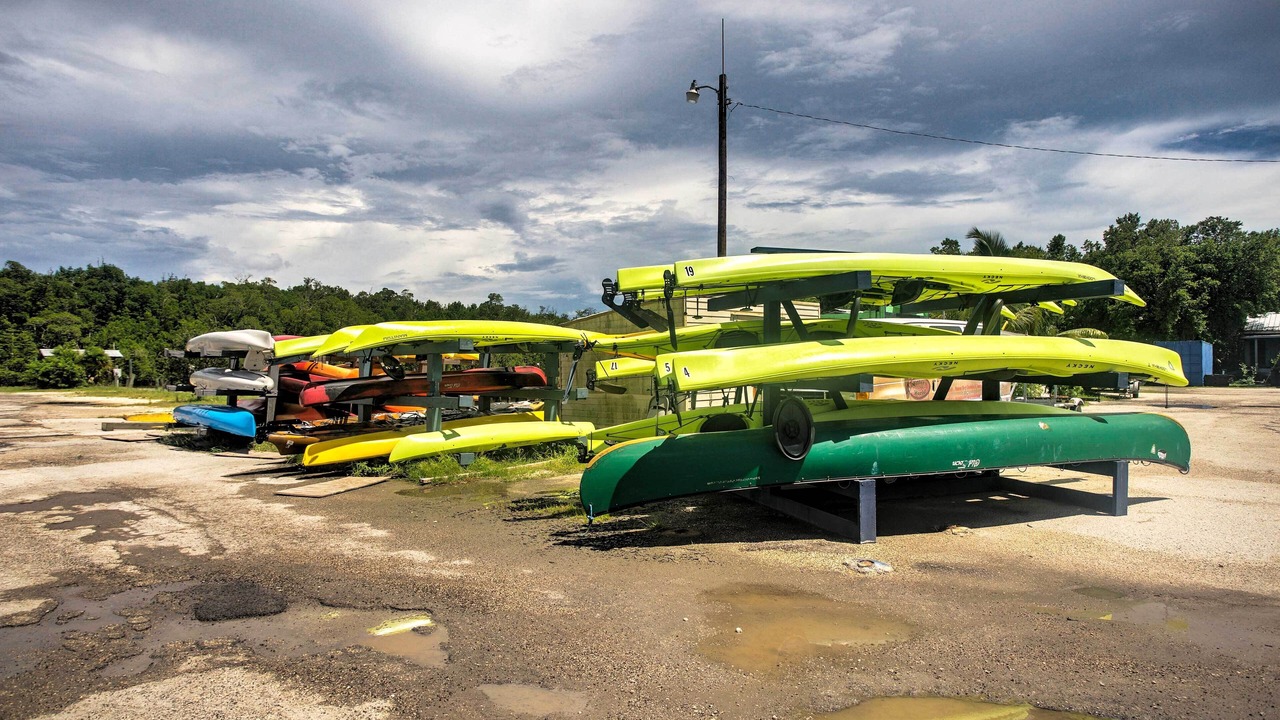 Photo of Others in Everglades City