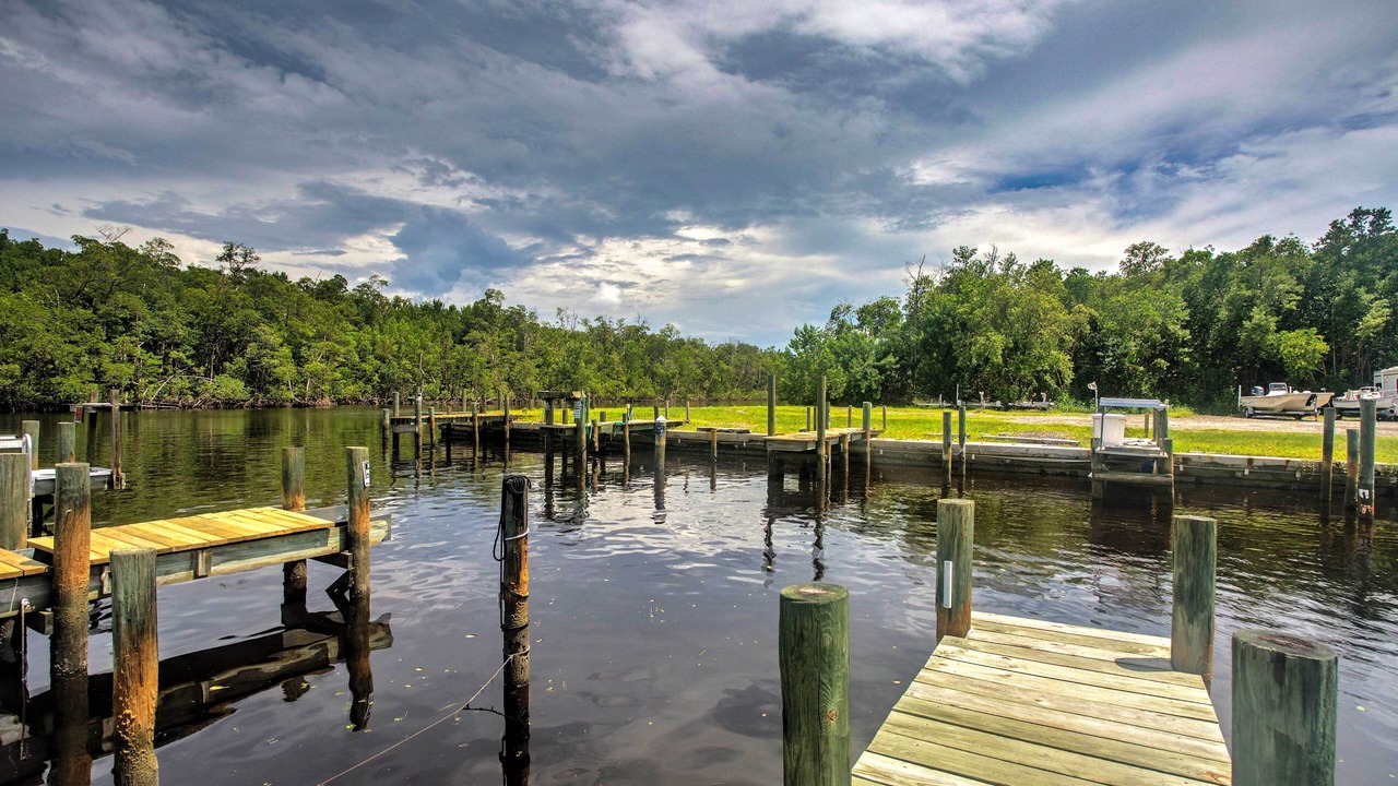 Photo of Outdoor in Everglades City