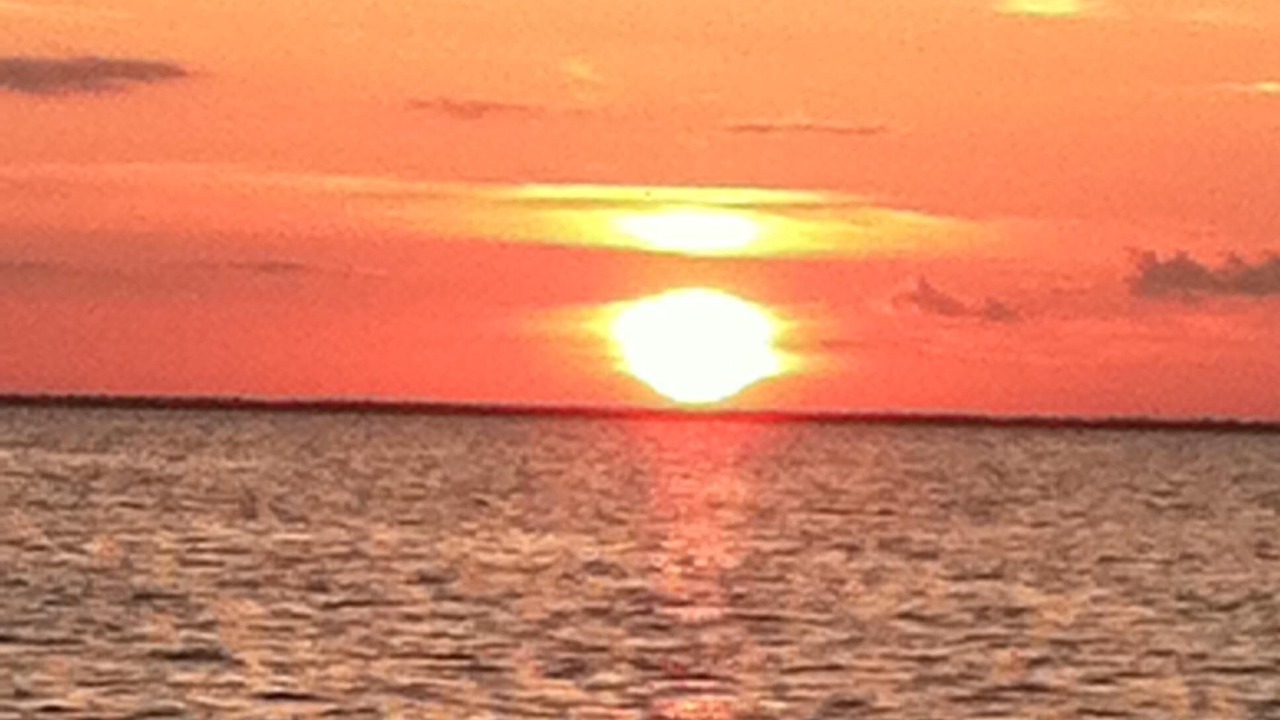 Photo of Others in Moncks Corner