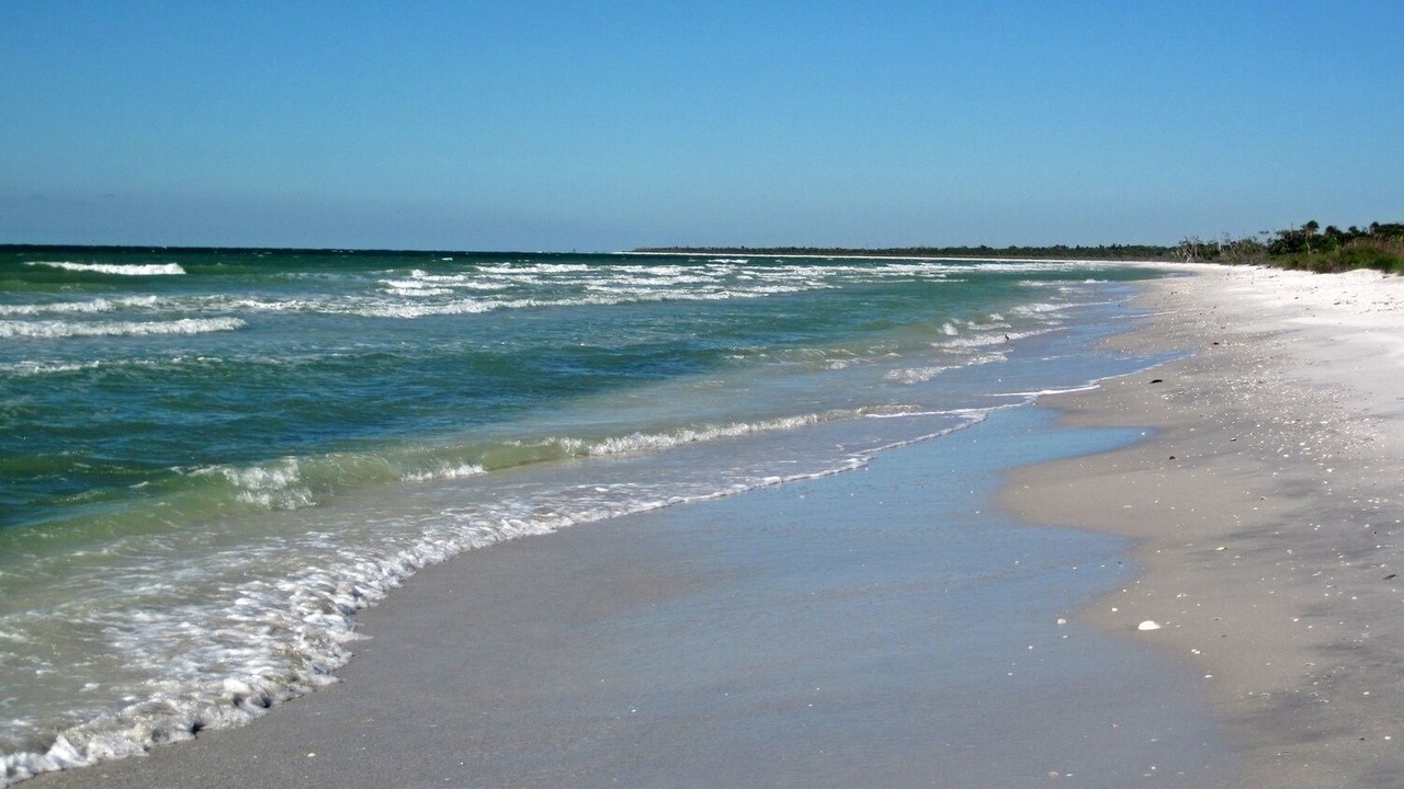 Photo of Others in Gulf Pines