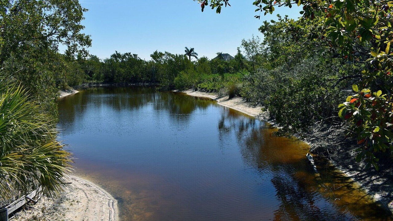 Photo of Outdoor in Gulf Pines