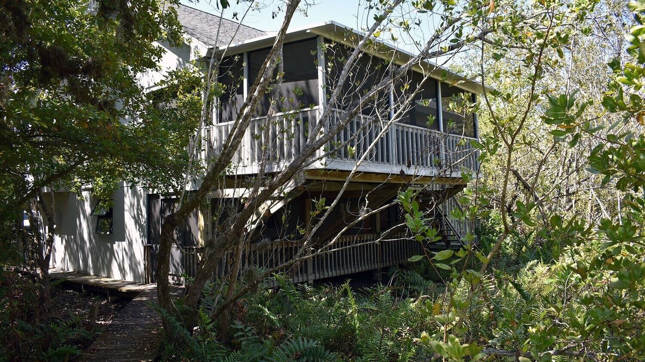 Photo of Outdoor in Gulf Pines