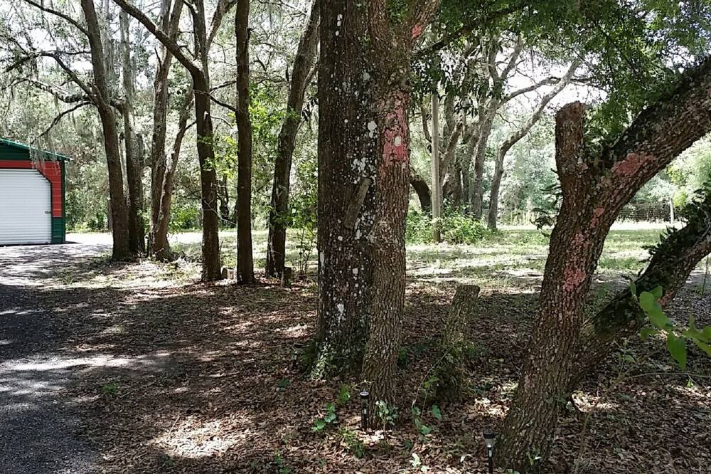 Photo of Outdoor in Webster