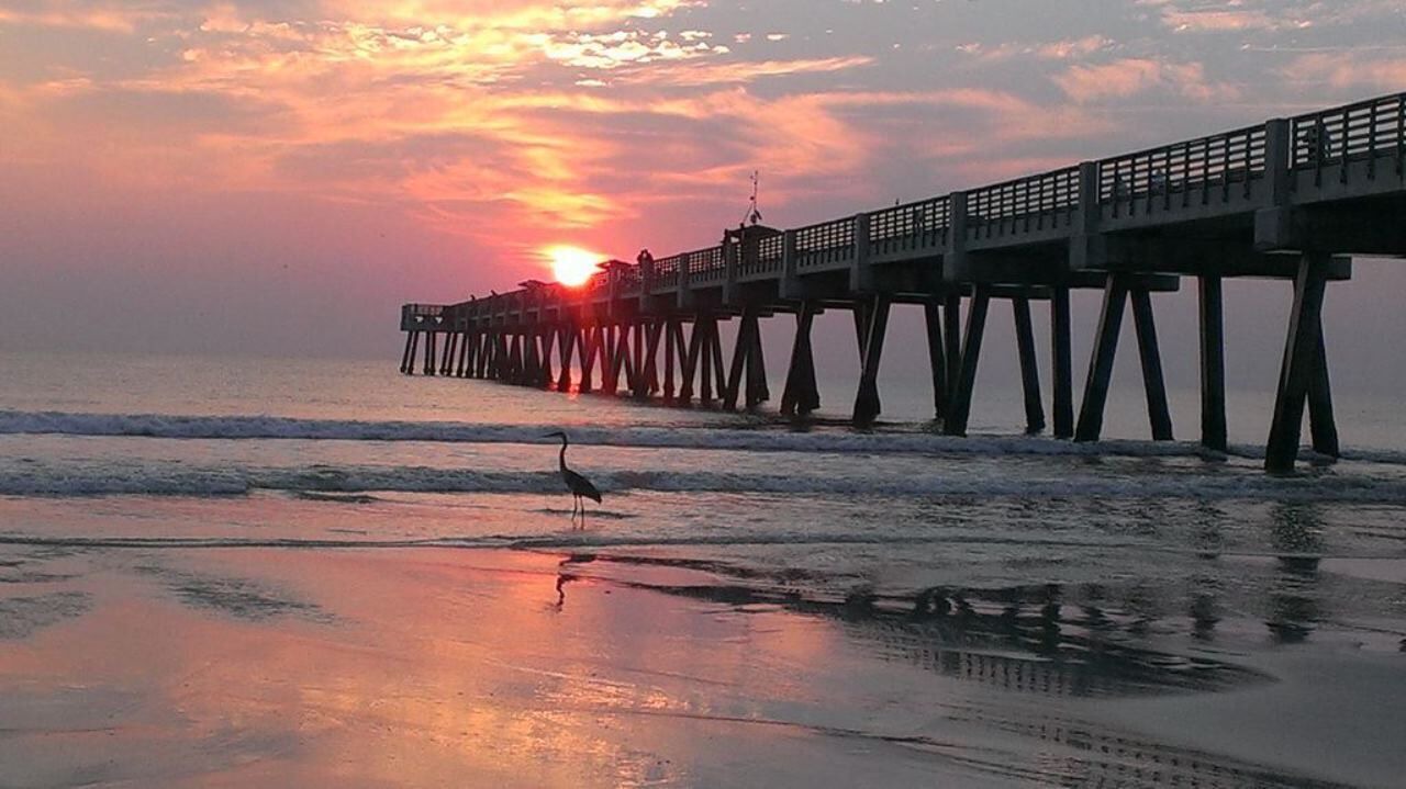 Photo of Others in Jacksonville Beach