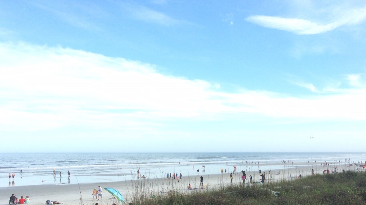 Photo of Others in Jacksonville Beach