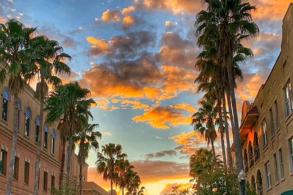 Photo of Outdoor in Safety Harbor