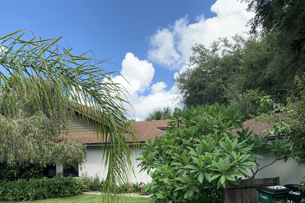 Photo of Outdoor in Safety Harbor