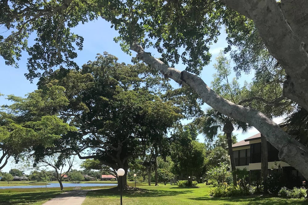Photo of Outdoor in Kings Lake