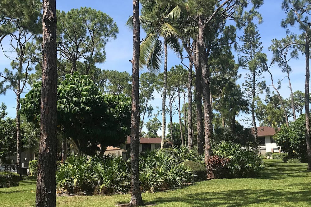 Photo of Outdoor in Kings Lake
