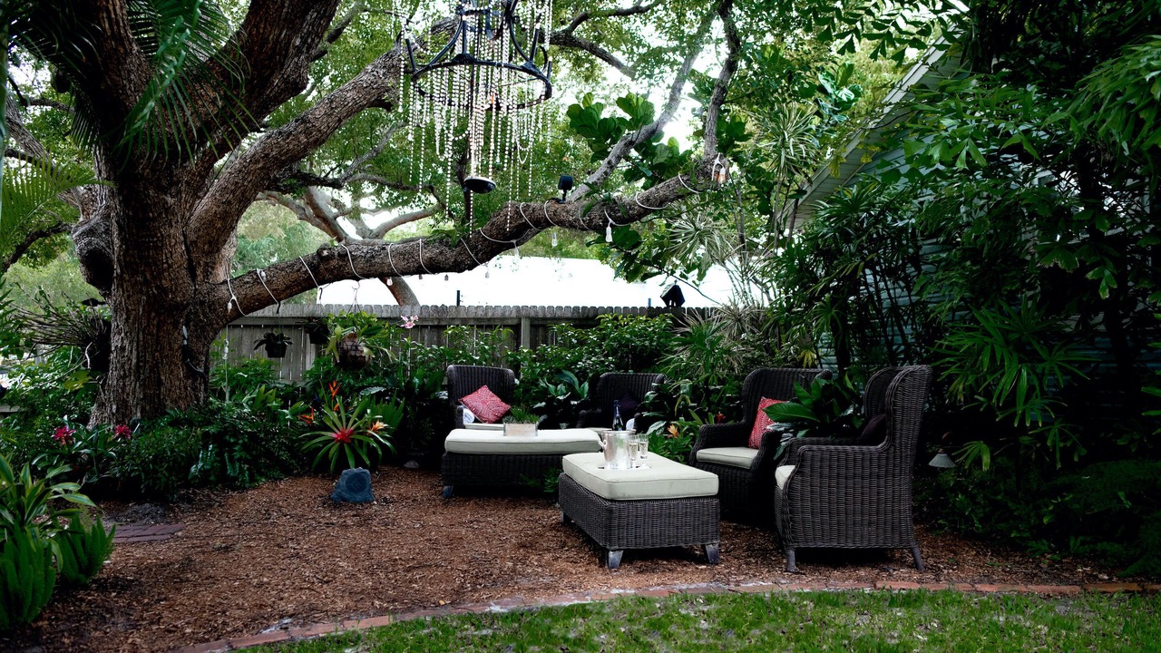 Photo of Outdoor in Downtown Dunedin