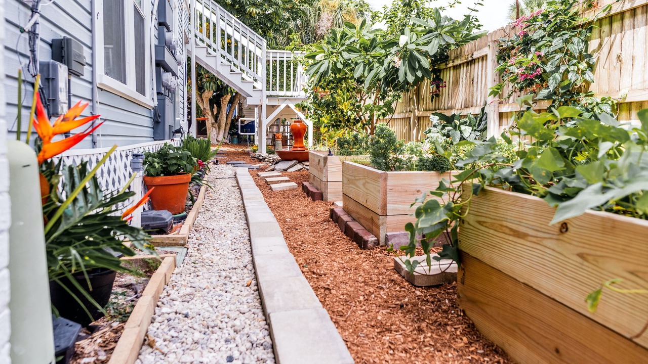 Photo of Outdoor in Downtown Dunedin