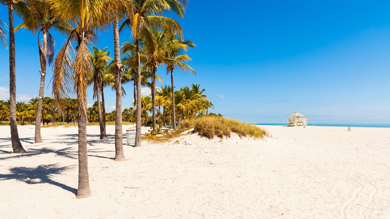 Photo of Others in Coconut Grove