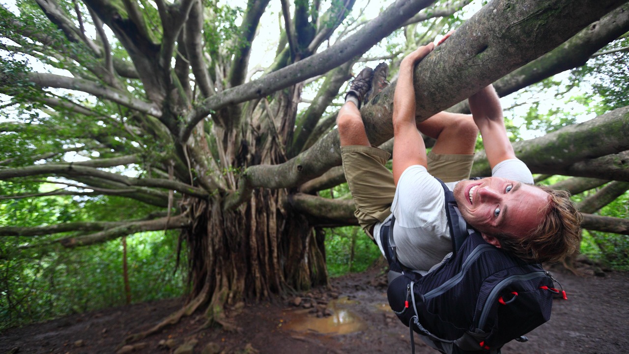 Photo of Others in Coconut Grove