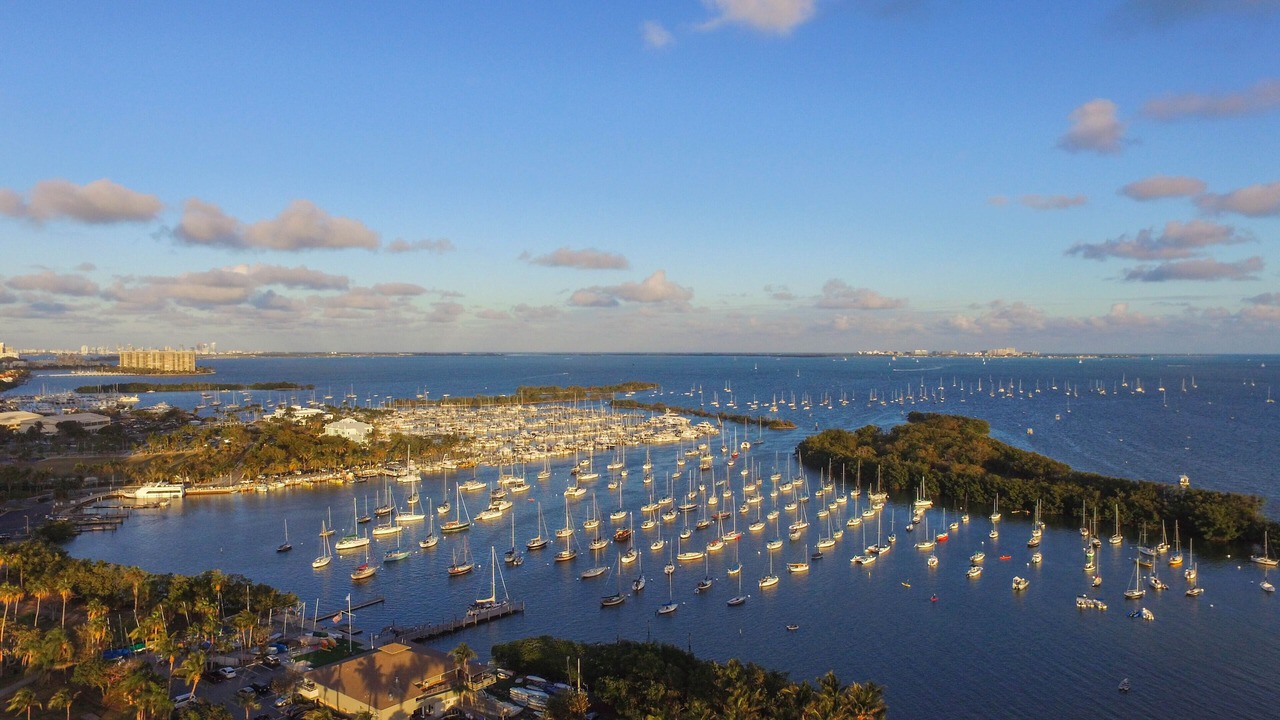 Photo of Others in Coconut Grove