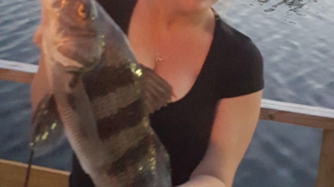 Photo of Others in Hudson