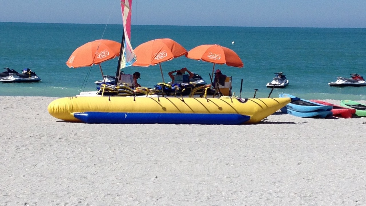 Photo of Others in Pelican