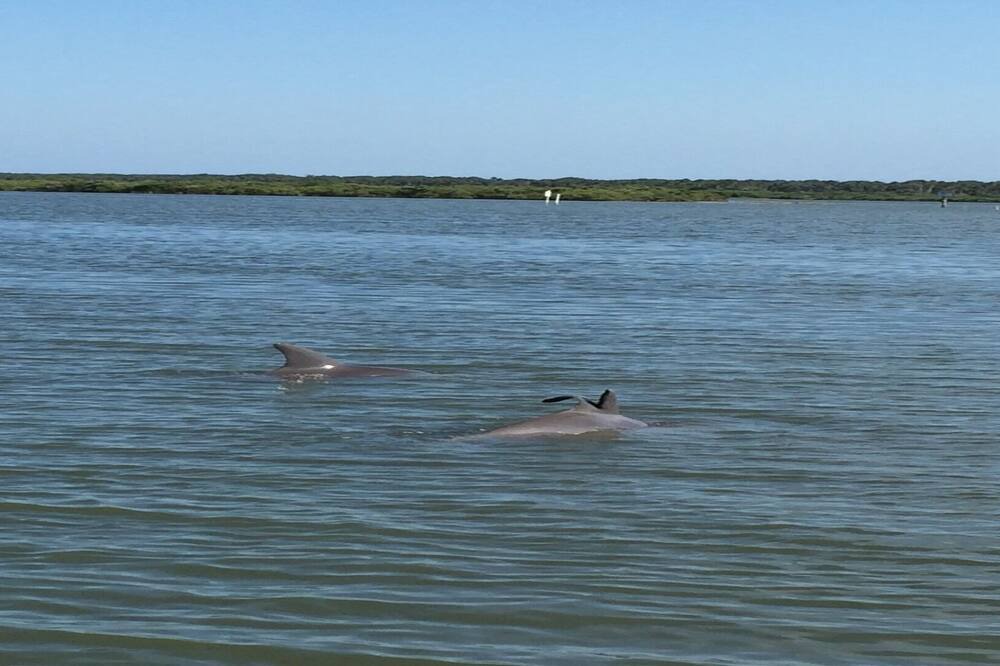 Photo of Others in New Smyrna Beach