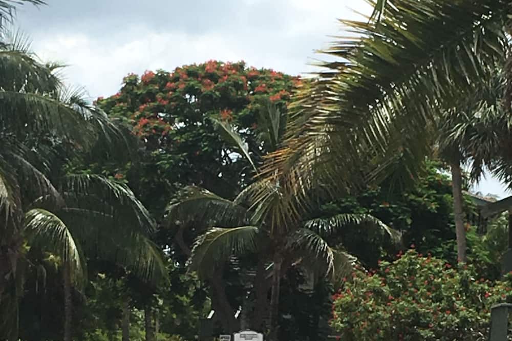 Photo of Others in Bokeelia