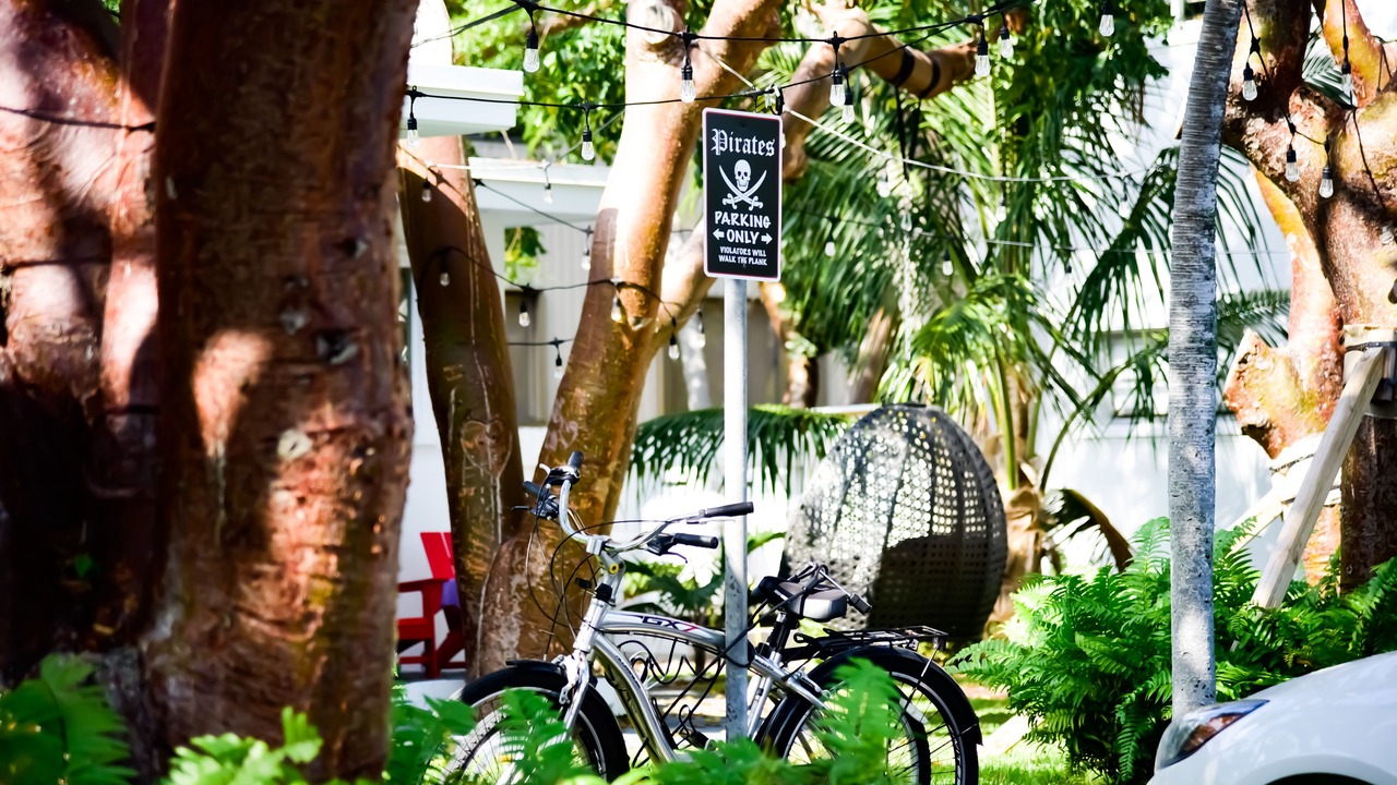 Photo of Outdoor in Islamorada