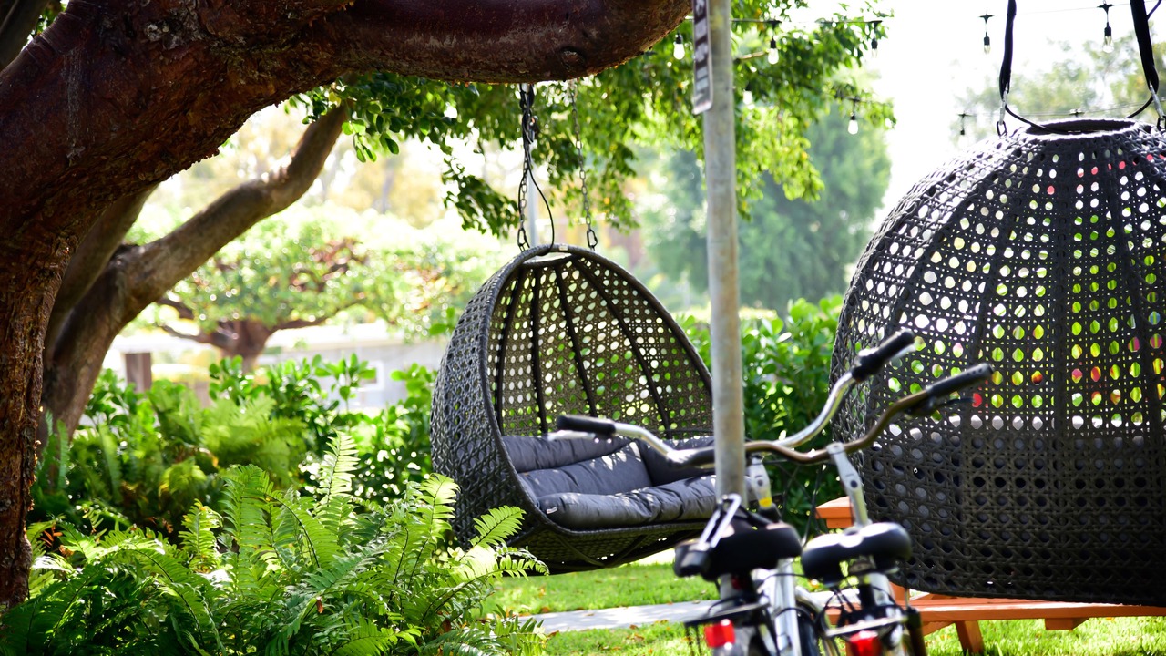 Photo of Outdoor in Islamorada