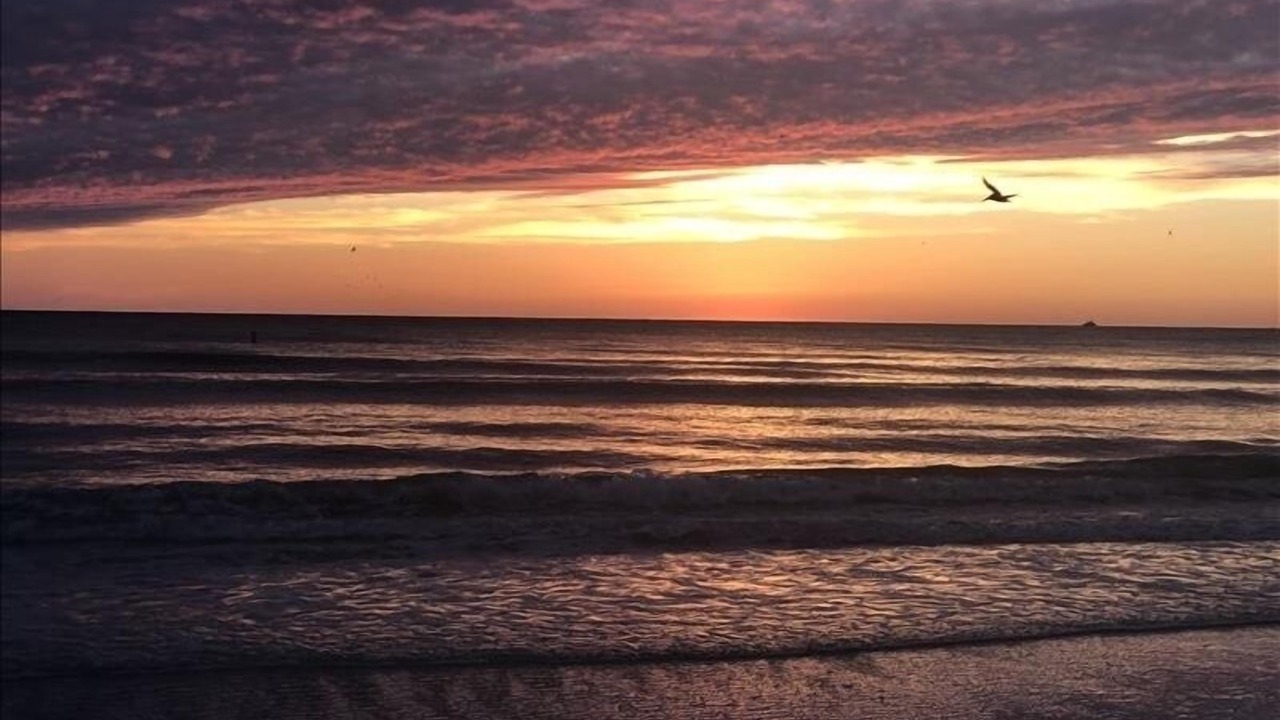 Photo of Others in Whitney Beach