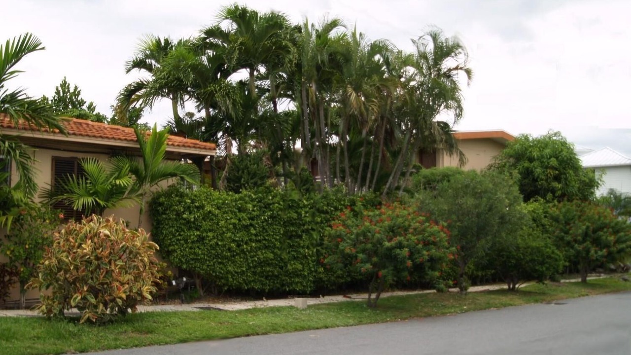 Photo of Outdoor in Southwest