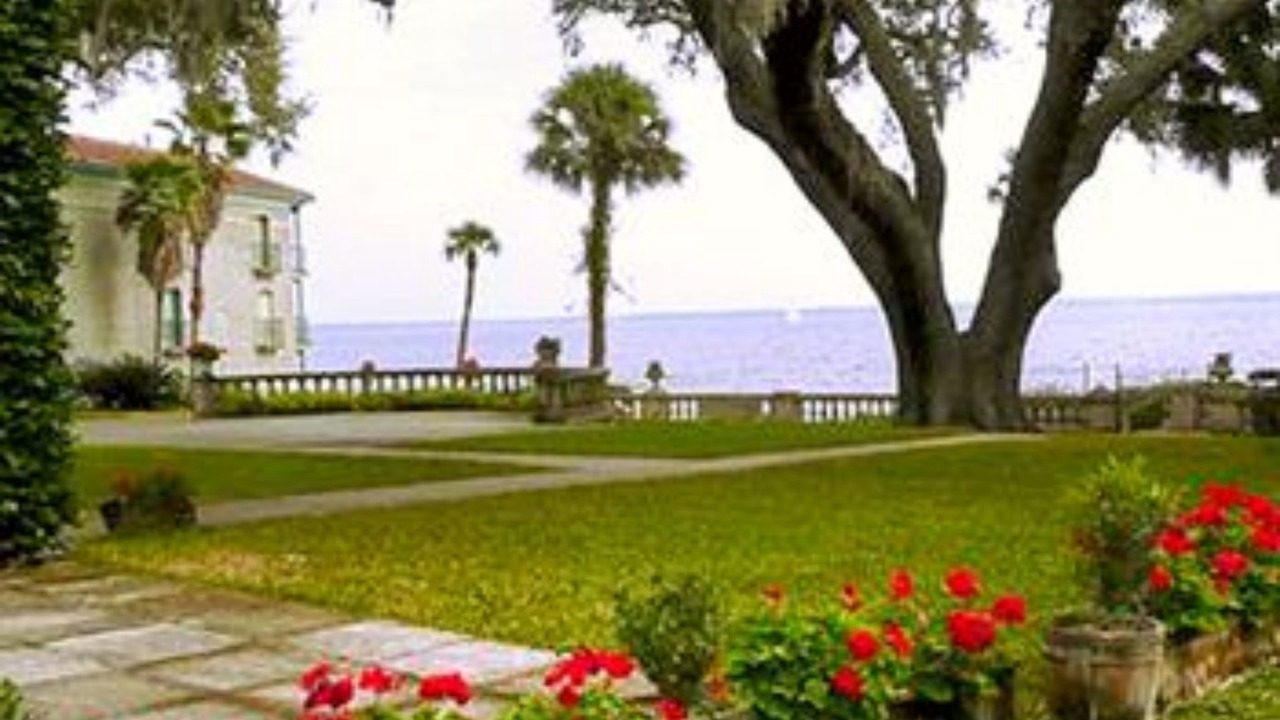 Photo of Outdoor in Orange Park