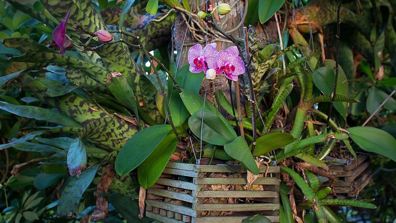 Photo of Outdoor in Vanderbilt Beach