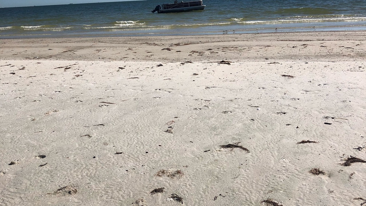 Photo of Others in Fort Myers Shores