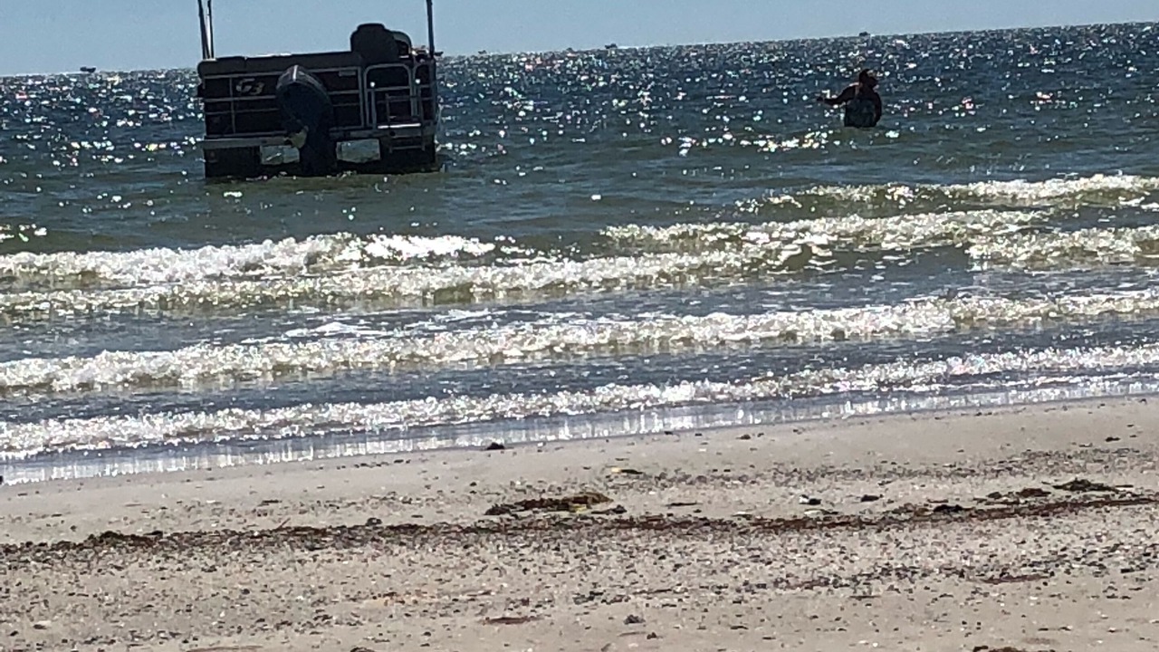 Photo of Others in Fort Myers Shores