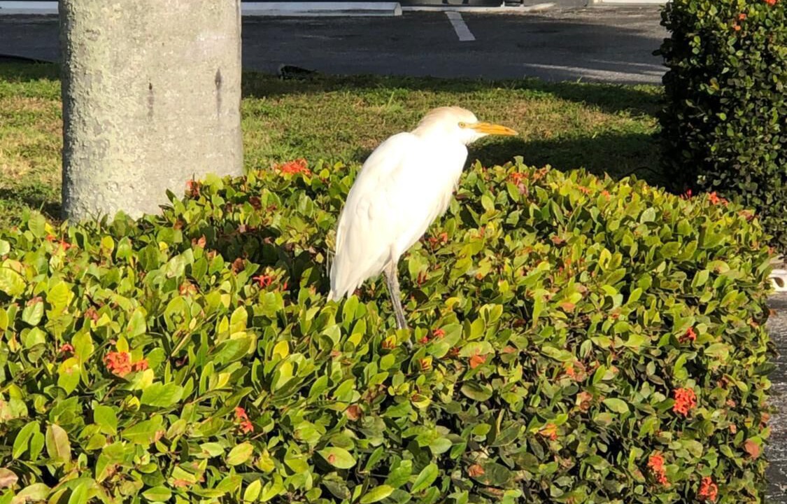 Photo of Outdoor in Bradenton