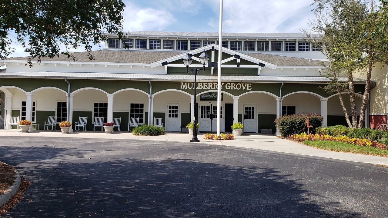 Photo of Outdoor in Summerfield