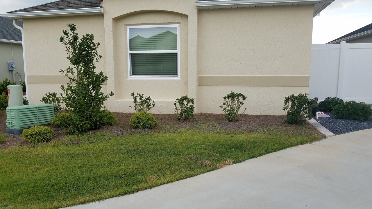 Photo of Outdoor in Summerfield