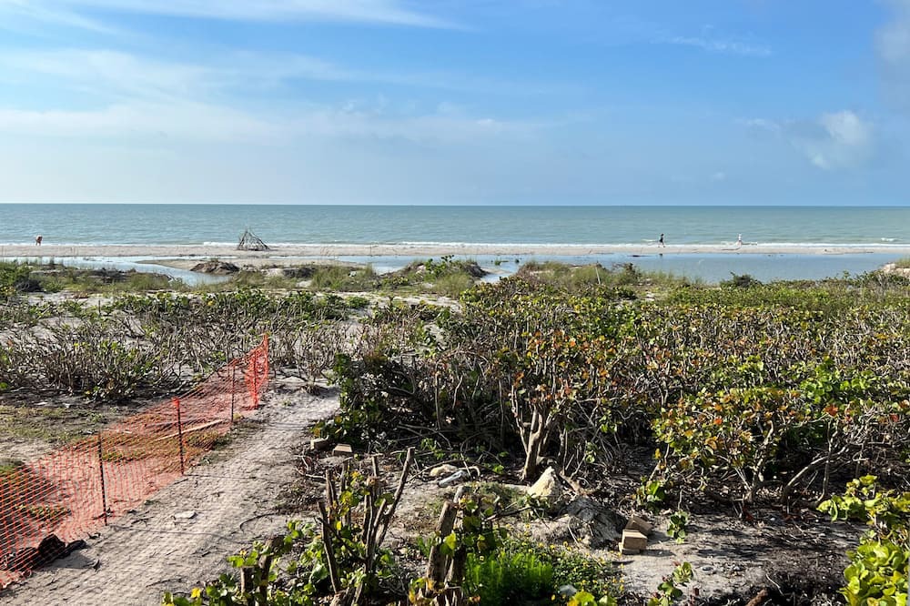 Photo of Others in Sanibel