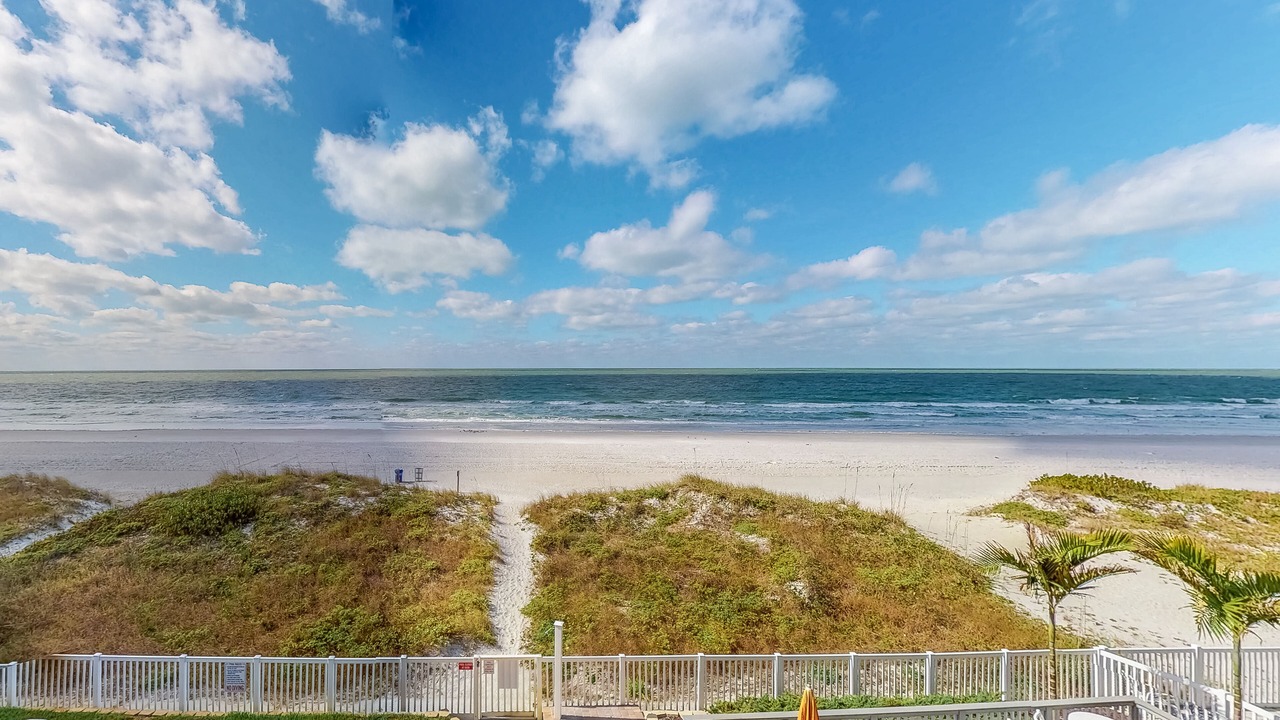Photo of Others in Indian Rocks Beach