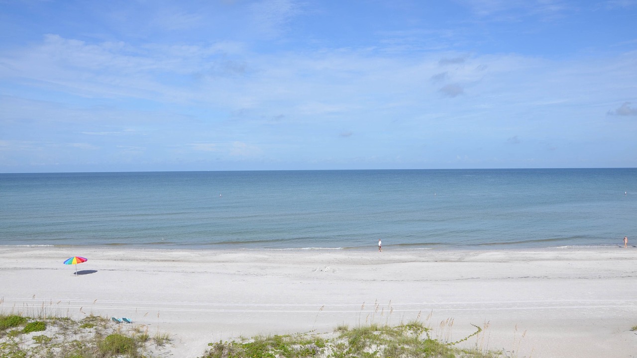 Photo of Others in Indian Rocks Beach