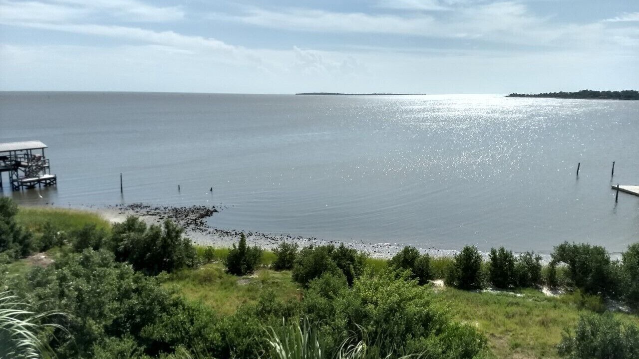 Photo of Others in Cedar Key