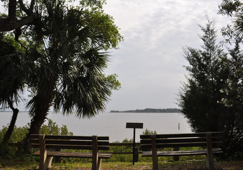 Photo of Others in Cedar Key