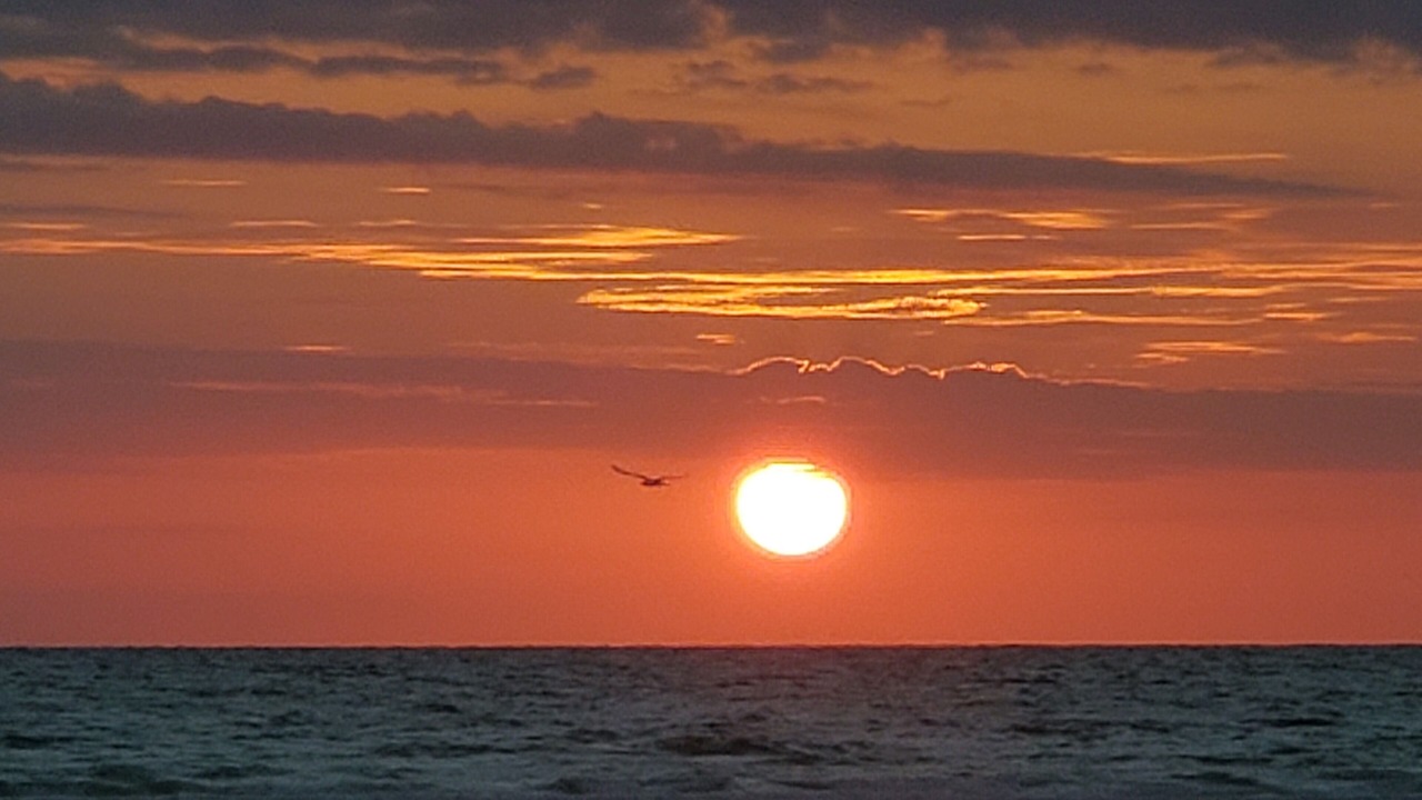 Photo of Others in Crystal Beach