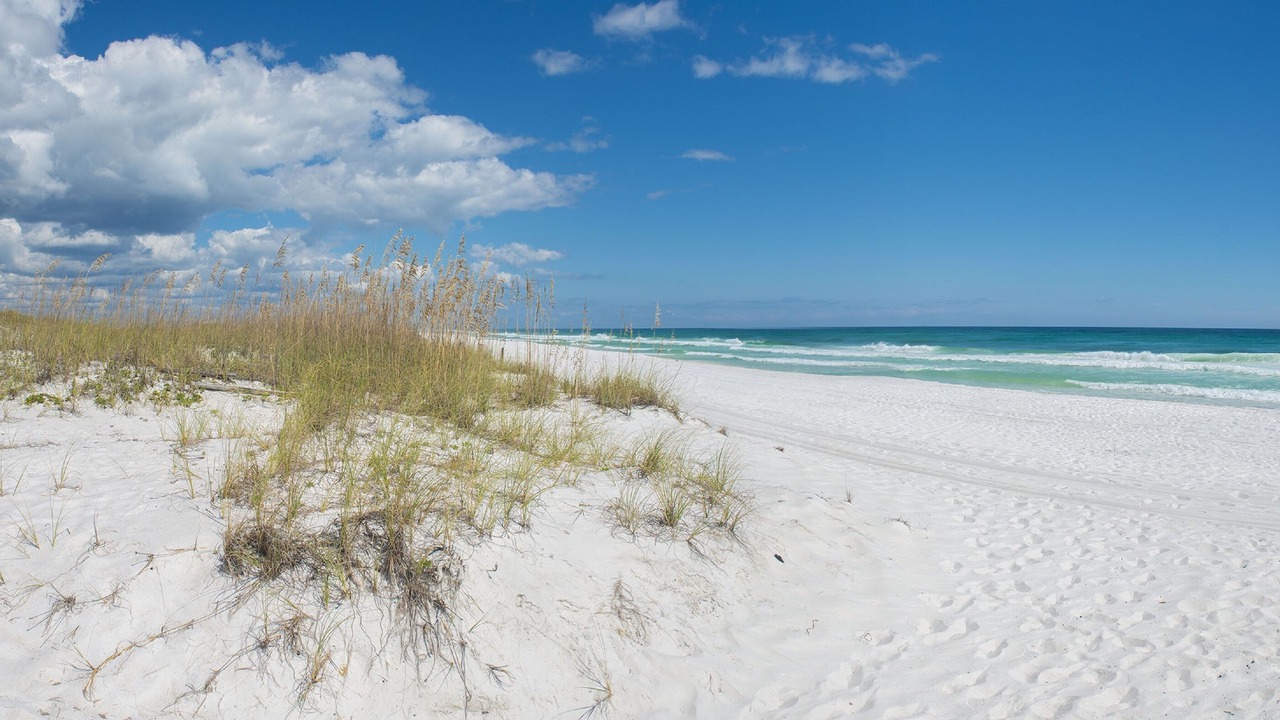 Photo of Others in Northwest Pensacola