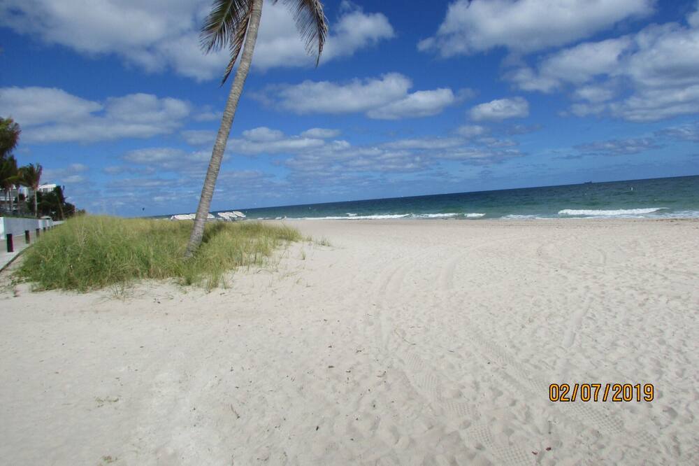 Photo of Others in Dolphin Isles