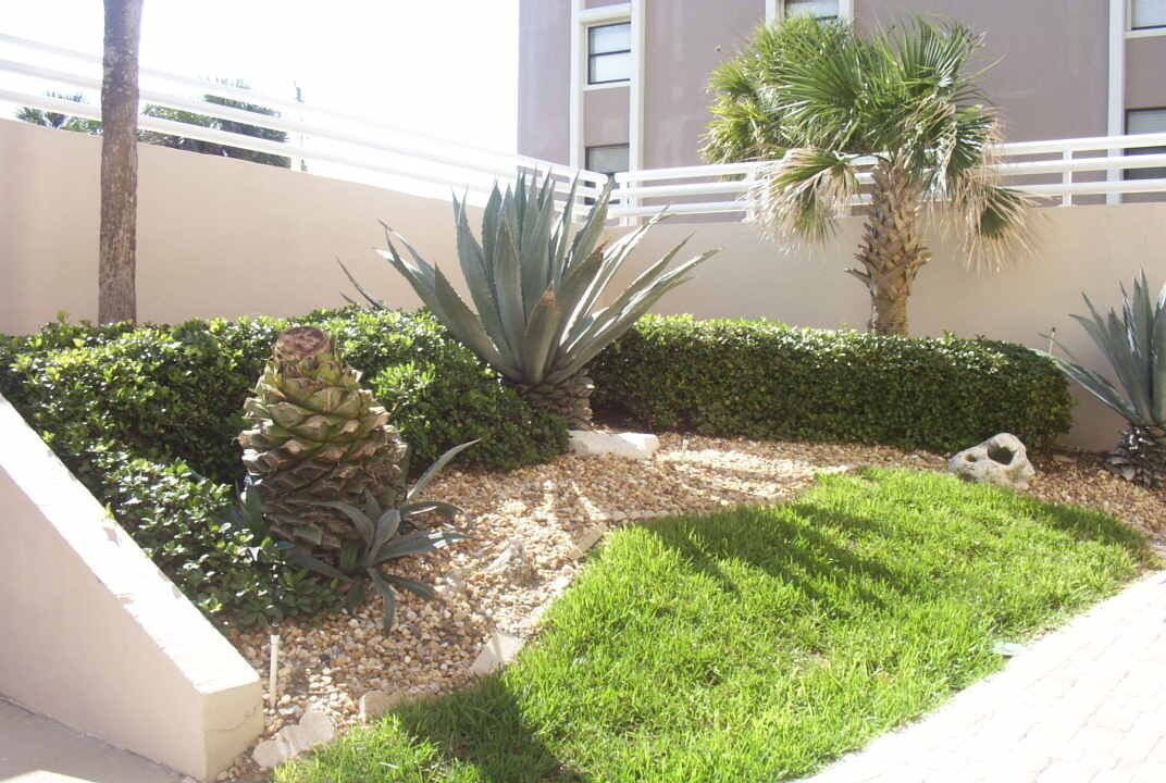 Photo of Outdoor in Ponce Inlet