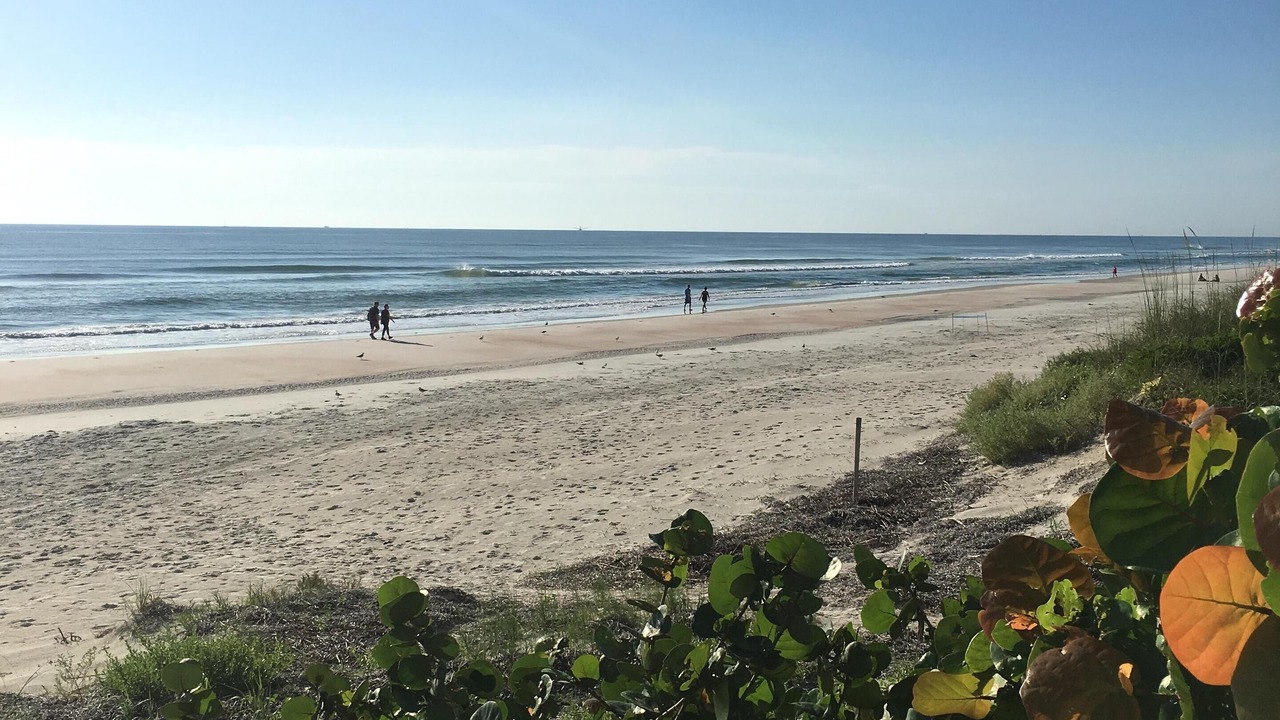 Photo of Others in Ponce Inlet