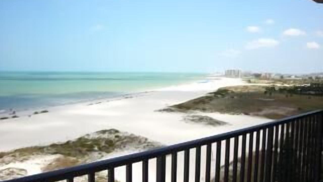 Photo of Others in Sand Key