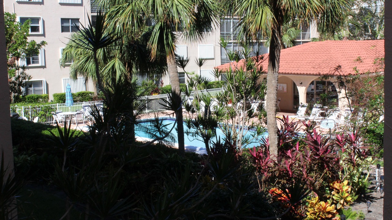 Photo of Outdoor in Bel Air