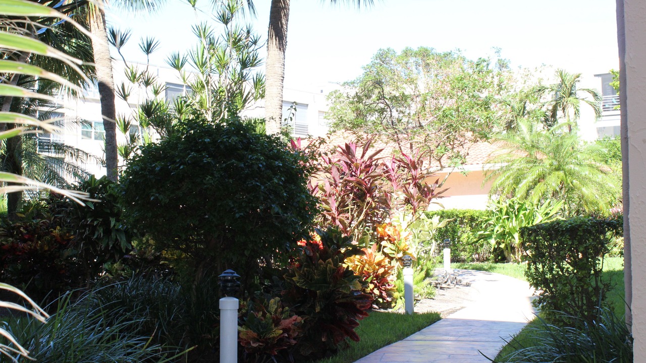 Photo of Outdoor in Bel Air